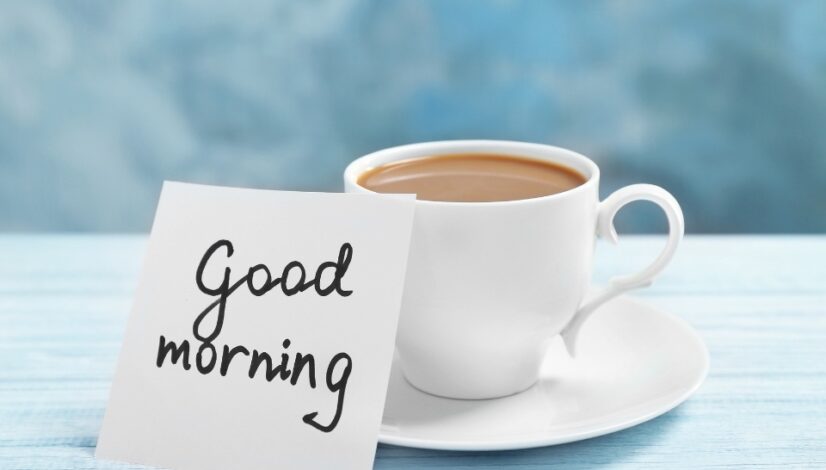 sports education dokandi